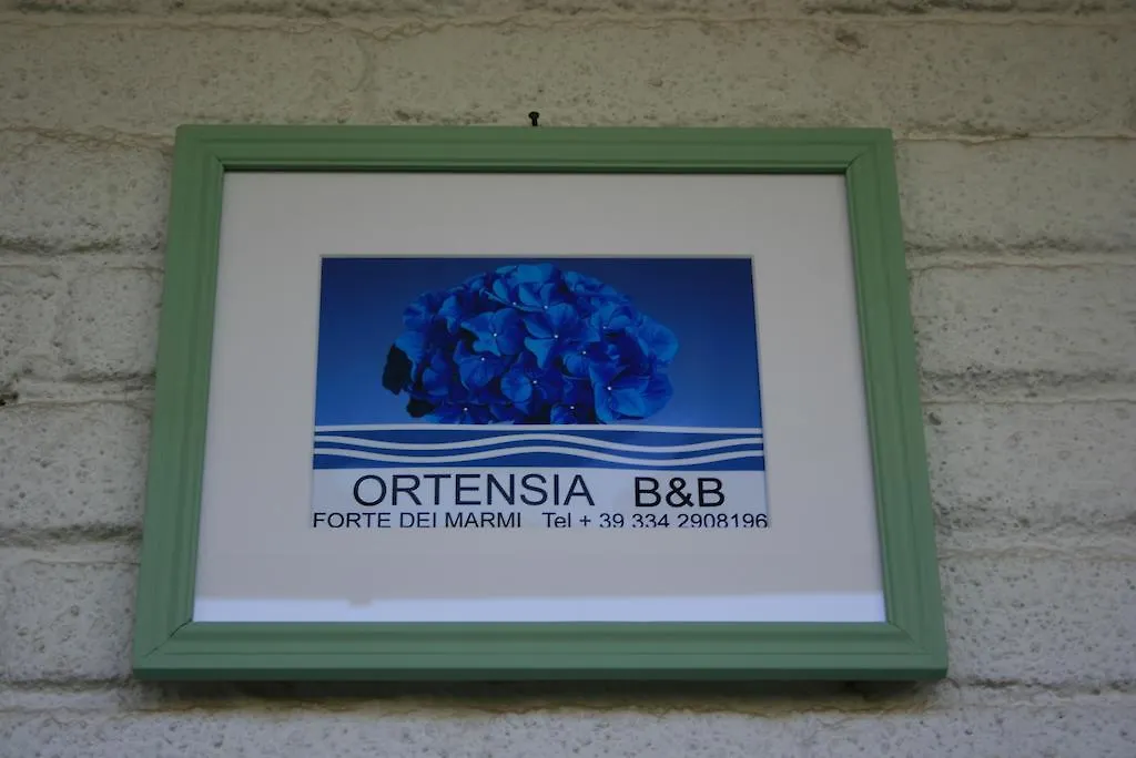 B&B Ortensia Forte dei Marmi Bed & Breakfast